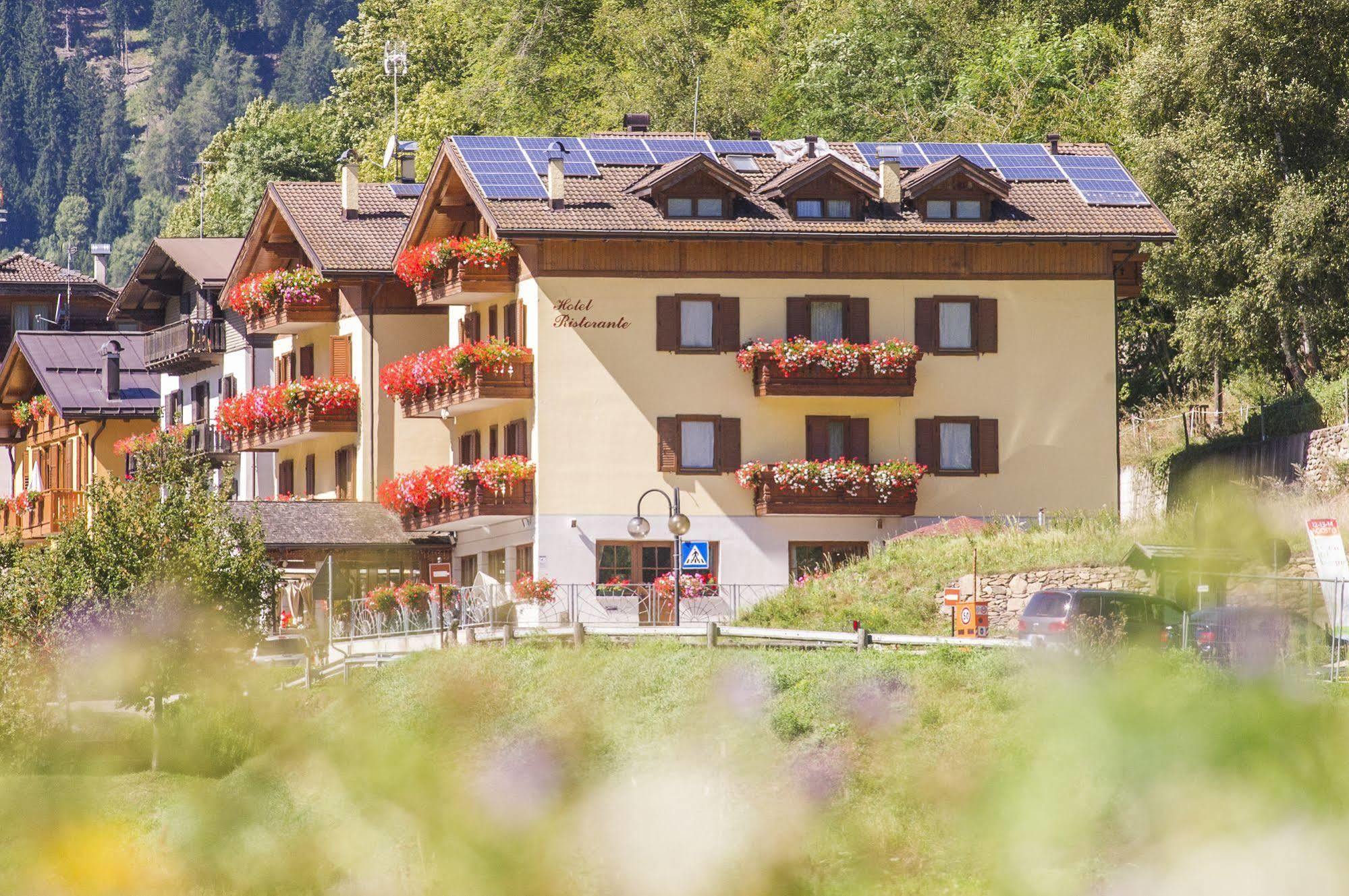 Hotel Pezzotti Pellizzano Εξωτερικό φωτογραφία